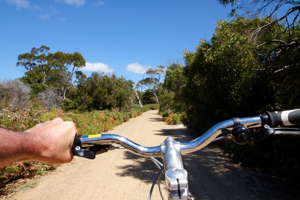 10 - Maria Island NP (10).jpg